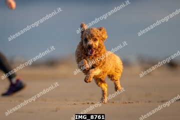 IMG_8761.jpg