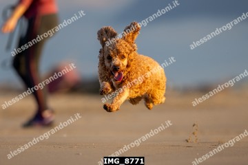 IMG_8771.jpg