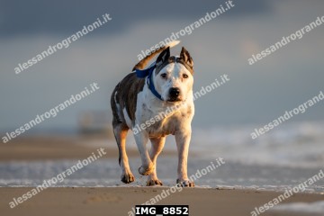 IMG_8852.jpg