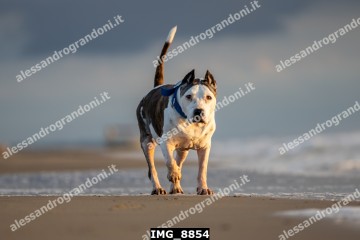 IMG_8854.jpg