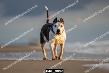 IMG_8856.jpg