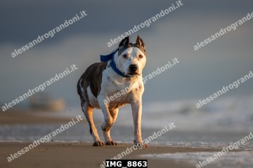 IMG_8863.jpg