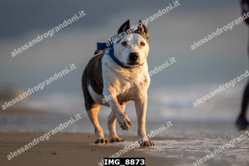 IMG_8873.jpg