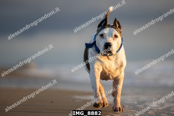 IMG_8882.jpg
