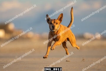 IMG_8912.jpg