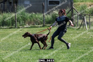 IMG_5633.jpg