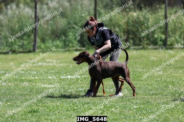 IMG_5648.jpg