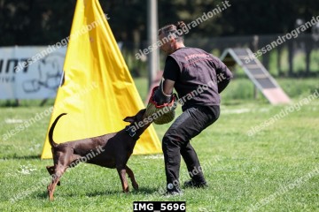 IMG_5696.jpg
