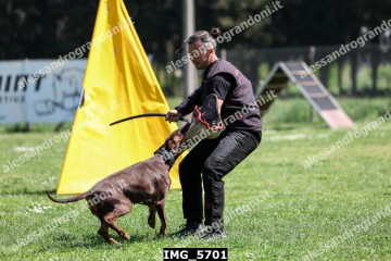 IMG_5701.jpg