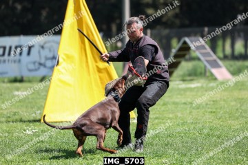 IMG_5703.jpg