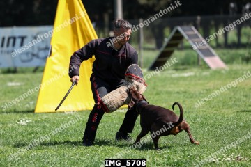 IMG_5708.jpg