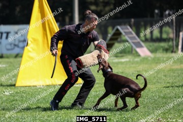 IMG_5711.jpg
