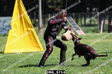 IMG_5714.jpg