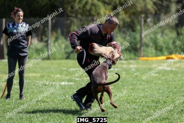 IMG_5725.jpg