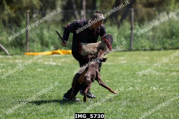 IMG_5730.jpg