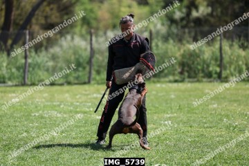 IMG_5739.jpg