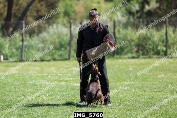 IMG_5760.jpg