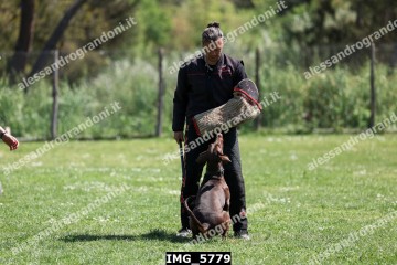 IMG_5779.jpg