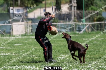 IMG_5788.jpg