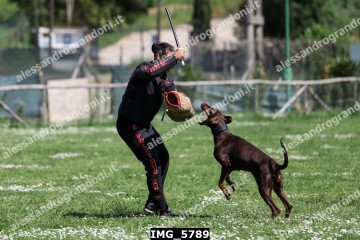 IMG_5789.jpg