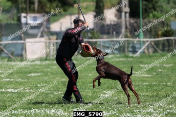 IMG_5790.jpg
