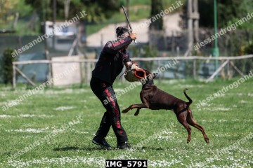 IMG_5791.jpg