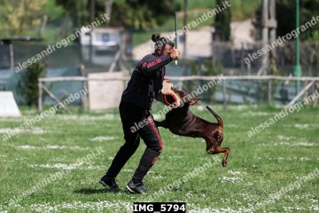 IMG_5794.jpg