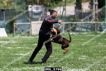 IMG_5796.jpg