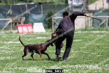 IMG_5812.jpg