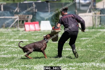IMG_5817.jpg