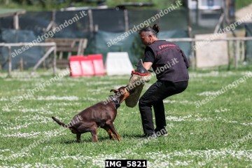 IMG_5821.jpg