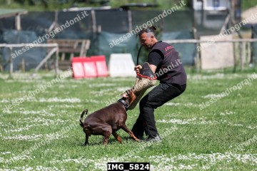 IMG_5824.jpg