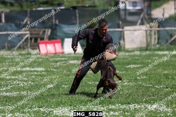 IMG_5828.jpg
