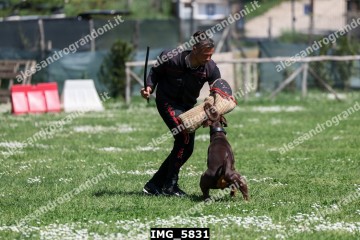 IMG_5831.jpg