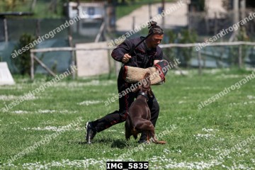 IMG_5835.jpg