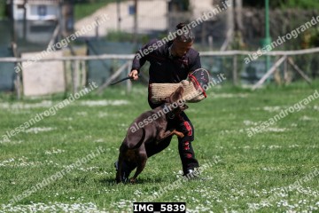 IMG_5839.jpg