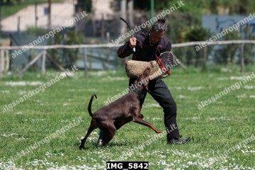 IMG_5842.jpg