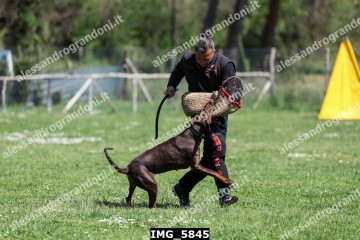 IMG_5845.jpg