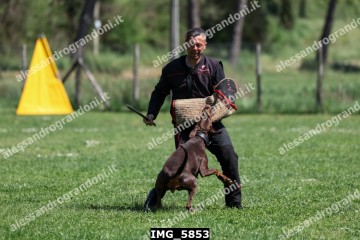 IMG_5853.jpg