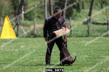 IMG_5873.jpg
