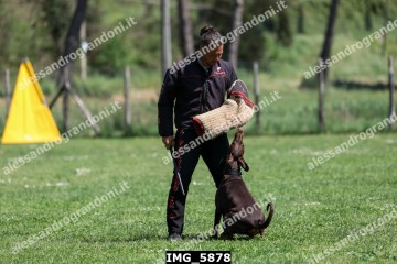 IMG_5878.jpg
