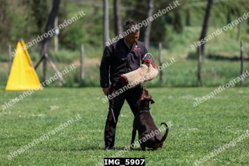 IMG_5907.jpg