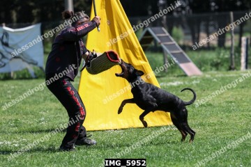 IMG_5952.jpg