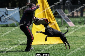 IMG_5953.jpg