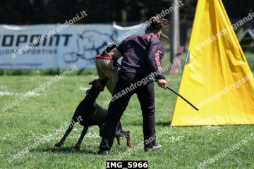 IMG_5966.jpg