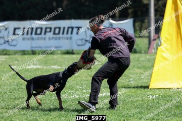 IMG_5977.jpg