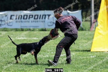 IMG_5978.jpg