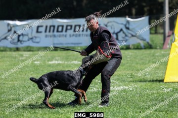 IMG_5988.jpg