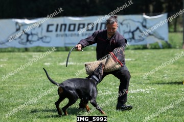 IMG_5992.jpg
