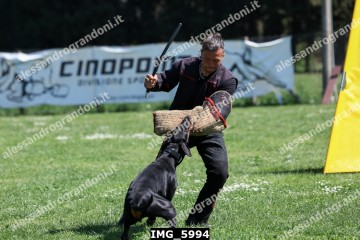 IMG_5994.jpg